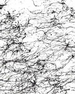 MONTANA BLACK SPIDER 150ML